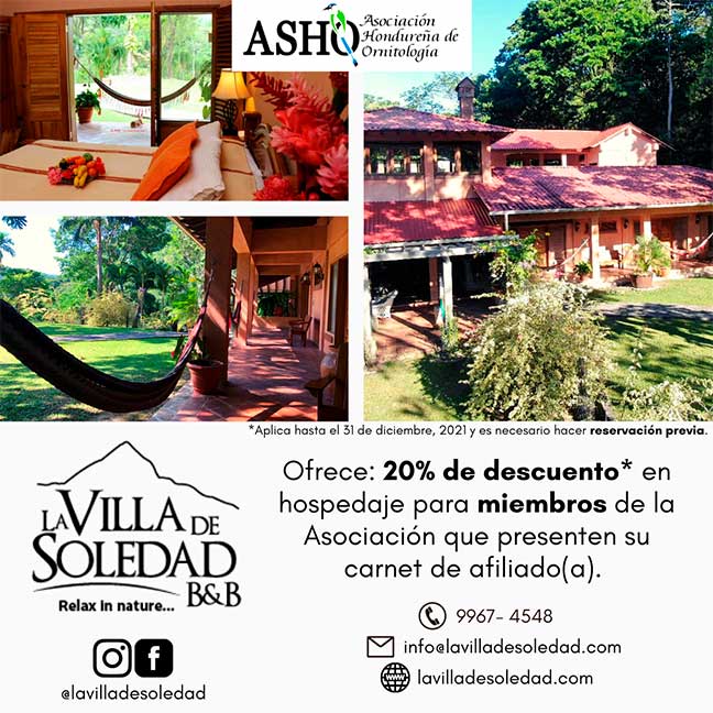 Afiche_La Villa de Soledad